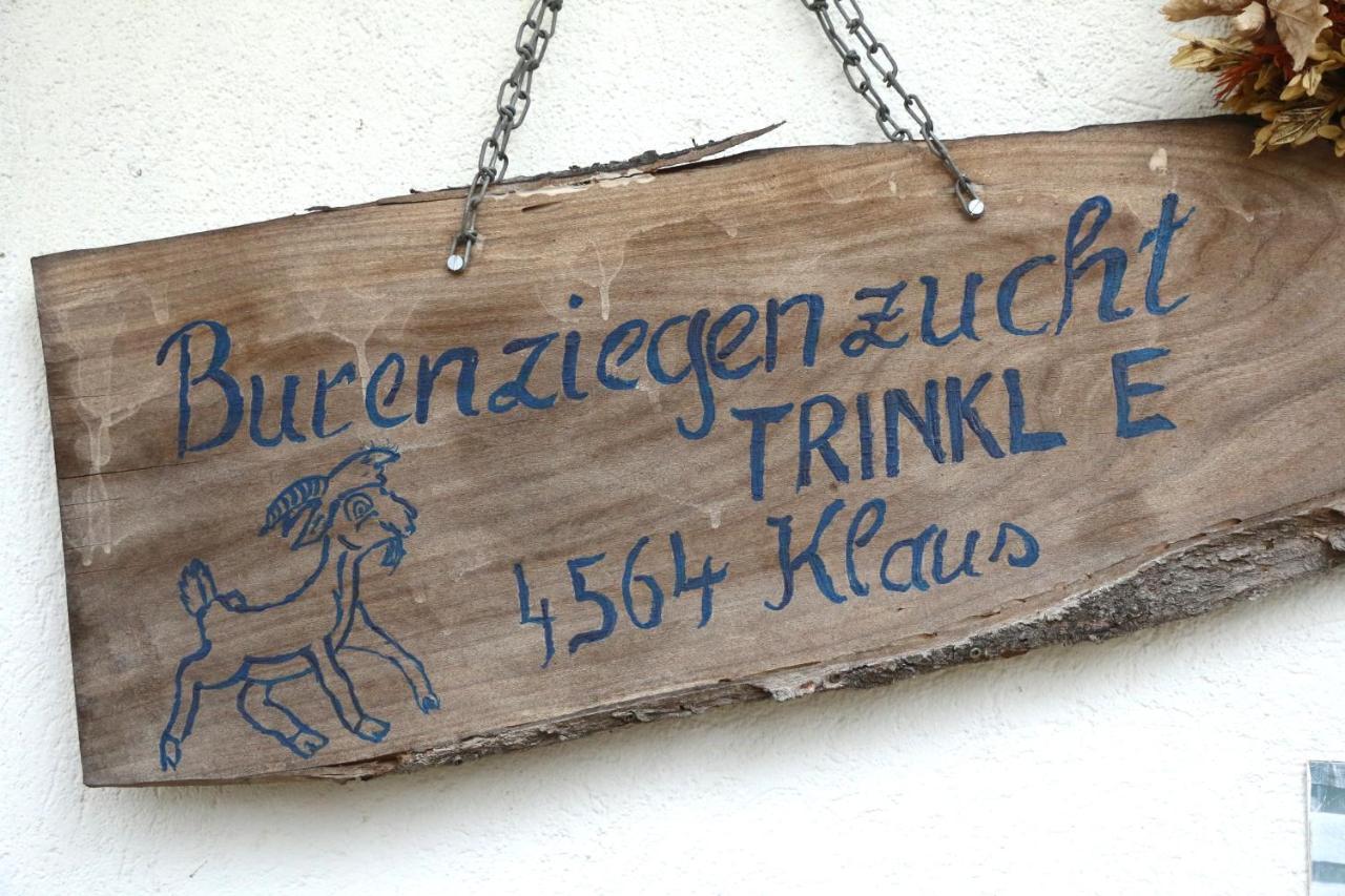 Bed and Breakfast Hof Zur Steinwaend Micheldorf in Oberosterreich Экстерьер фото