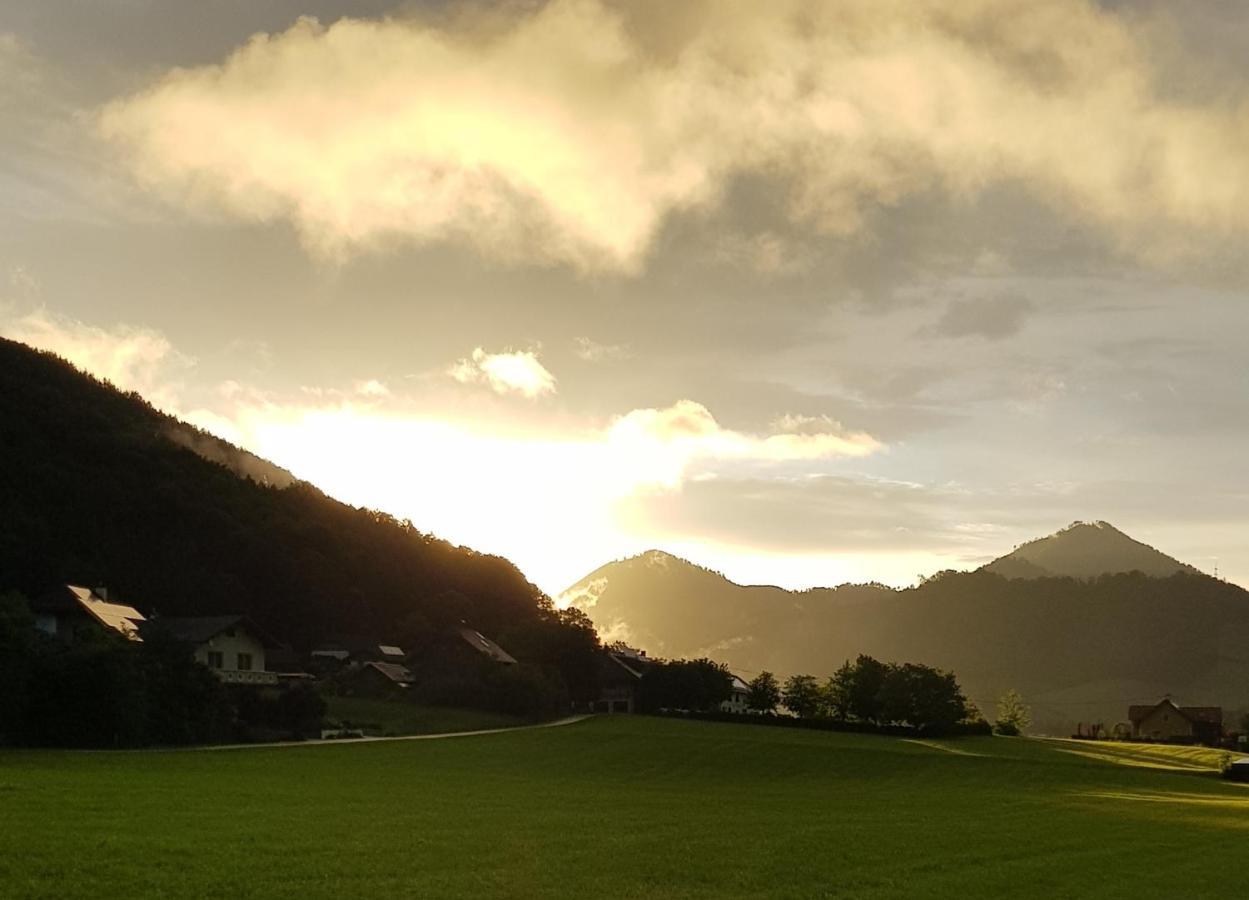 Bed and Breakfast Hof Zur Steinwaend Micheldorf in Oberosterreich Экстерьер фото